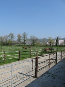 Abb.: Weiden und Allwetterplätze auf der Fohlenweid